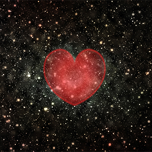 herz-heartwall